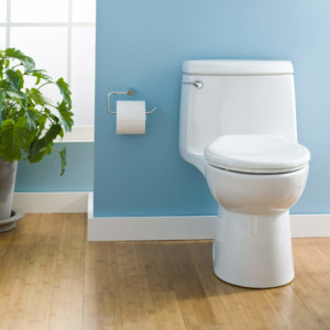 Toto vs. American Standard: Toilet Comparison Bathrooms