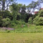 Best Sump Pump Discharge Ideas Blog