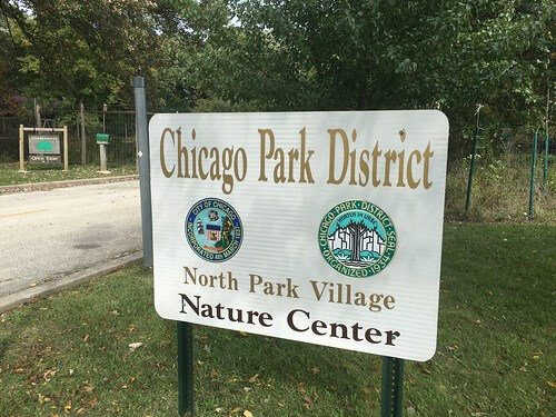 The Best Parks in Chicago Local Chicago